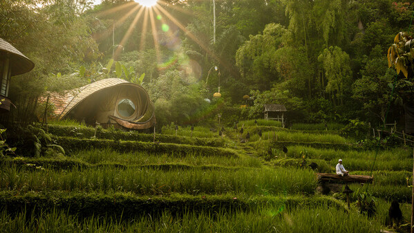 Surrounded by sweeping rice fields and overlooking a gentle river, the New Moon House embodies the essence of bamboo living, open, organic, and intimately connected to Bali’s timeless landscape.