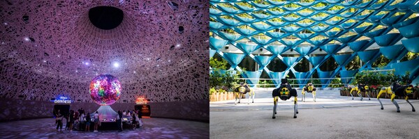 按序：Exploria 探索世界（图片来源：万态野生动物集团）、“马蜂窝 AI Bot”（图片来源：圣淘沙发展局）