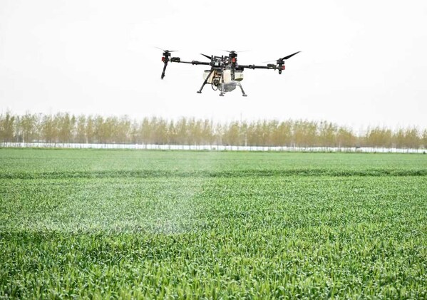 在位于盐城市的方强农场繁种基地，植保无人机喷洒先正达“麦甜®”进行飞防作业。