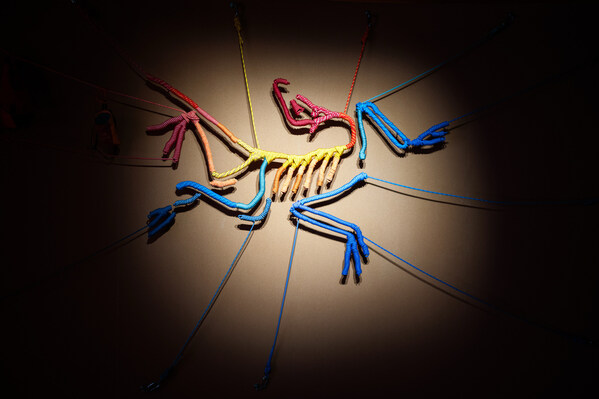 山地课堂，热爱在此共鸣