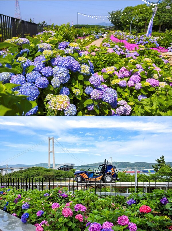 蔚山南区将举办第五届长生浦绣球花节，并推出全新鲸鱼卡丁车游乐项目。