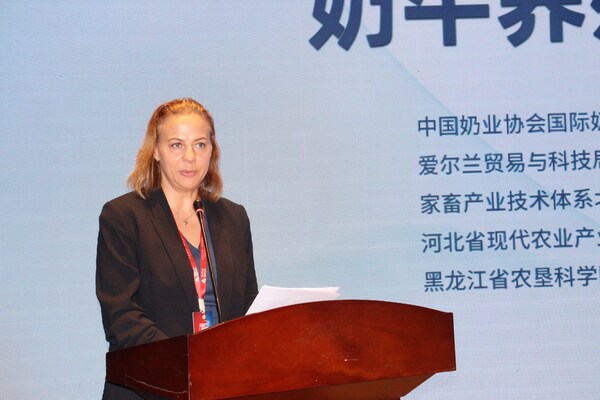 爱尔兰大使馆的Dr Alicja Migowska Calik 爱尔兰大使馆的Dr Alicja Migowska Calik