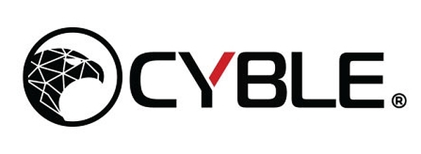 Cyble 任命网络安全资深专家 Steve Ingram 为美国区执行副总裁,主导市场拓展